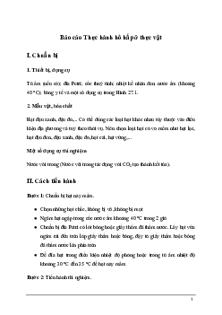 Bài 27: Thực hành: Hô hấp ở thực vật | Giải sách Khoa học tự nhiên 7 Kết nối tri thức