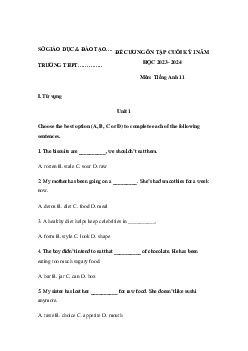 Đề cương ôn tập học kì 1 môn Tiếng Anh 11 Explore English