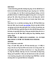 Tiểu luận chiến lược marketing của Th True Milk | Đại học Công Nghiệp TPHCM