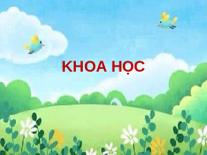 Giáo án điện tử Khoa học 5 Cánh diều: Chất dẻo