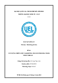 Tiểu luận: " Xây dựng chiến lược marketing cho sản phẩm bia tiger sweer dream"