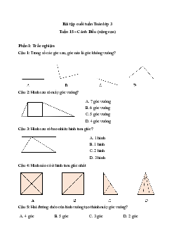 Phiếu bài tập cuối tuần lớp 3 - Tuần 15 (nâng cao) | Cánh Diều