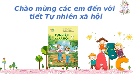 Giáo án điện tử Tự nhiên và Xã hội 2 Bài 21 Kết nối tri thức: Tìm hiểu cơ quan vận động