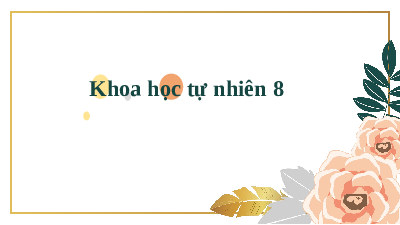 Giáo án điện tử Khoa học tự nhiên 8 Bài 30 Kết nối tri thức: Khái quát về cơ thể người