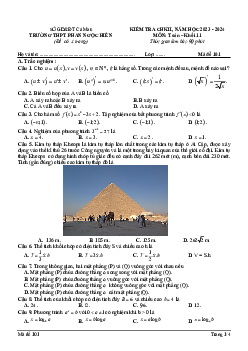 Đề cuối kì 2 Toán 11 năm 2023 – 2024 trường THPT Phan Ngọc Hiển – Cà Mau