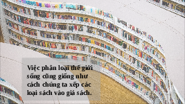 Giáo án điện tử Khoa học tự nhiên 6 bài 22 Chân trời sáng tạo : Phân loại thế giới sống