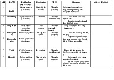 Tài liệu tổng hợp cây thuốc quý môn Nhận thức dược liệu | Đại học Y Dược Thành phố Hồ Chí Minh