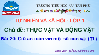 Giáo án điện tử Tự nhiên và xã hội 1 bài 20 Chân trời sáng tạo : Giữ an toàn với một số con vật