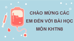 Bài 30: Máu và hệ tuần hoàn ở người | Bài giảng PowerPoint KHTN 8 | Cánh diều