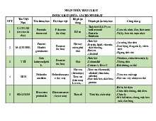 Nhận thức dược liệu chứa cacbonhidrat | Đại học Y Dược Thành phố Hồ Chí Minh