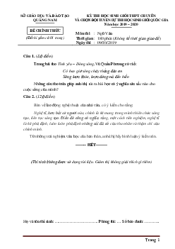 Đề thi học sinh giỏi Ngữ Văn 12 Chuyên Quảng Nam 2019-2020 (có đáp án)