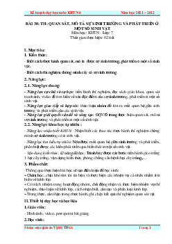 Giáo án Bài 38: Thực hành: Quan sát, mô tả sự sinh trưởng và phát triển ở một số sinh vật | Khoa Học Tự Nhiên 7 Kết nối tri thức