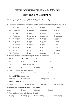 Bộ đề thi học sinh giỏi Tiếng Anh lớp 6 có đáp án năm 2020