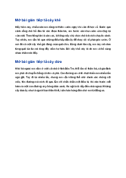 Viết đoạn mở bài cho bài văn miêu tả cây cối  | Tập làm văn 4
