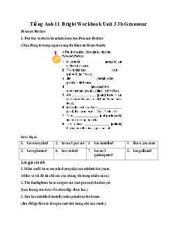 Giải Tiếng Anh 11 Workbook Unit 3 3b Grammar |  Bright