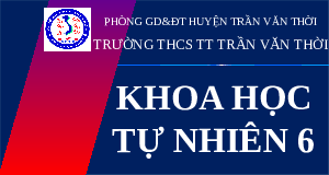 Giáo án điện tử Khoa học tự nhiên 6 bài 45 Chân trời sáng tạo : Hệ mặt trời và ngân hà