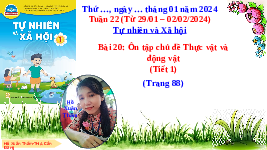 Giáo án điện tử Tự nhiên và xã hội 1 bài 21 Chân trời sáng tạo : Ôn tập chủ đề Thực vật và Động vật