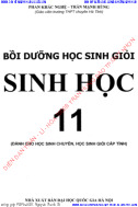 SỞ GIÁO DỤC VÀ ĐÀO TẠO HÀ NỘI TRƯỜNG THPT ĐỒNG QUAN  KÌ THI HỌC SINH GIỎI KHỐI 10  Môn  Vật lý