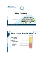 Blood Physiology - Đại học Y dược Thành phố Hồ Chí Minh