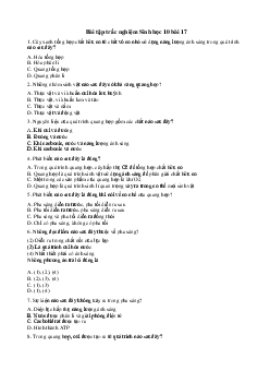 Trắc nghiệm Sinh học 10 bài 17: Quang hợp