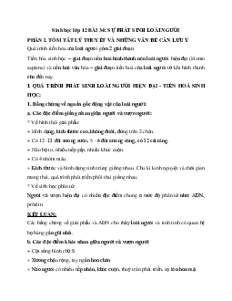 Sinh học 12 bài 34: Sự phát sinh loài người