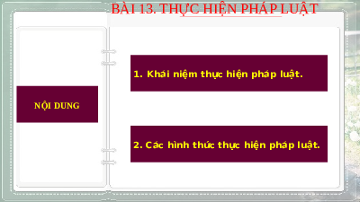 Giáo án điện tử Giáo dục Kinh tế và Pháp luật 10 Bài 13 Kết nối tri thức: Thực hiện pháp luật
