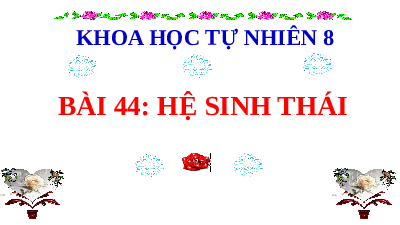 Giáo án điện tử Khoa học tự nhiên 8 Bài 45 Kết nối tri thức: Sinh quyển