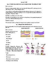 Tài liệu vi sinh học | Đại học Y Dược Cần Thơ