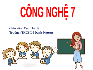 Giáo án điện tử Công nghệ 7 Bài 5 Kết nối tri thức: Nhân giống vô tính cây trồng