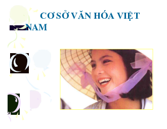 Giáo trình cơ sở văn hóa việt nam