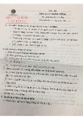 Đề thi cuối kỳ học phần Luật hành chính năm 2024 - 2025 | Đại học Luật Thành phố Hồ Chí Minh