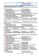 Đề Ôn Tập Giữa Kỳ 1 Kinh Tế Pháp Luật 12 Kết Nối Tri Thức 2025-2026 Có Đáp Án