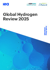 Global Hydrogen Review môn Kinh tế năng lượng | Trường Đại học Sư phạm Kỹ thuật Thành phố Hồ Chí Minh