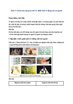 Sinh 11 Chân trời sáng tạo bài 12: Miễn dịch ở động vật và người
