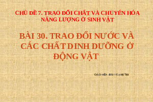 Giáo án điện tử Khoa học tự nhiên 7 bài 30 Chân trời sáng tạo : Trao đổi nước và các chất dinh dưỡng ở động vật