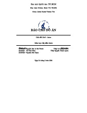 Báo cáo Đồ án Hệ Điều Hành: Xv6 Lab 1 - Cấu Trúc và Thực Hành