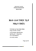 Đề tài : Ảnh hưởng của bạo lực gia đình đến hành vi – tâm lý của trẻ nhỏ - Tài liệu tham khảo | Đại học Hoa Sen