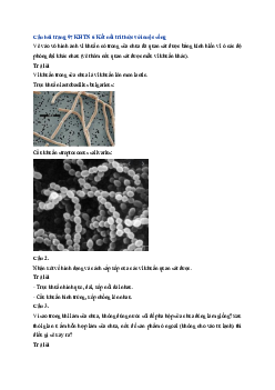 Giải Khoa học tự nhiên lớp 6 - Bài 28: Thực hành Làm sữa chua và quan sát vi khuẩn | Kết nối tri thức