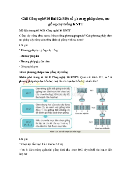 Giải Công nghệ 10 Bài 12: Một số phương pháp chọn, tạo giống cây trồng KNTT