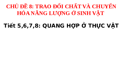 Giáo án điện tử Khoa học tự nhiên 7 Bài 17 Cánh diều: Vai trò của trao đổi chất và chuyển hoá năng lượng ở sinh vật