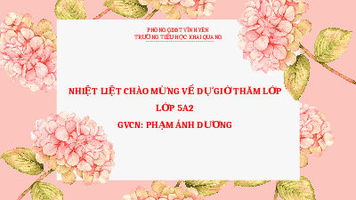 Giáo án điện tử Lịch sử và Địa lí 5 Bài 2 Cánh diều: Nước ta đầu thế kỷ XX và công cuộc tìm đường cứu nước