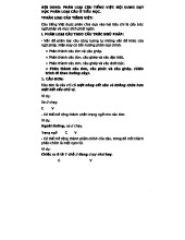 CSTV2 - Phân Loại Câu Tiếng Việt Trong Chương Trình Tiểu Học