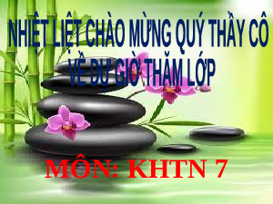 Giáo án điện tử Khoa học tự nhiên 7 bài 18 Kết nối tri thức : Nam châm