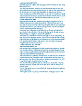 Giáo dục Thể chất và Văn hóa Thể thao: Nền tảng Phát triển Toàn diện