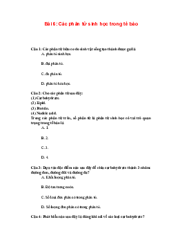 Trắc nghiệm Sinh học 10 Bài 6: Các phân tử sinh học trong tế bào | Chân trời sáng tạo