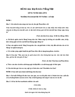 Đề thi vào lớp 6 trường THCS&THPT Nguyễn Tất Thành môn Tiếng Việt năm 2023
