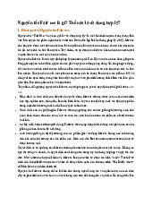 Nguyên tắc Fair use là gì? Thế nào là sử dụng hợp lý