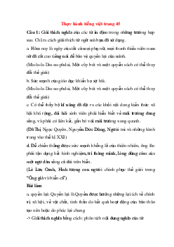 Soạn bài Thực hành tiếng việt trang 45 | Ngữ văn 11 Chân trời sáng tạo