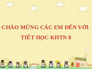 Giáo án điện tử Khoa học tự nhiên 8 Bài 45 Kết nối tri thức: Sinh quyển