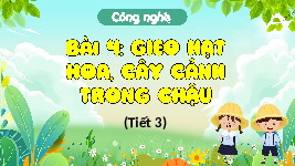 Giáo án điện tử Công Nghệ  4 KNTT - Bài 4 Kết Nối Tri Thức:  gieo hạt hoa, cây cảnh trong chậu.